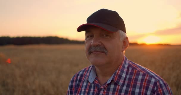カメラを見ている穀物の分野で高齢者の大人の農家の肖像画と日没に笑みを浮かべて。トラクターの運転手は彼の帽子を脱いで、スローモーションでカメラを見て - 映像、動画