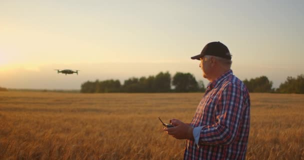 un agricoltore adulto anziano con un berretto usa un drone per sorvolare un campo di grano. Un contadino anziano usa un controller per controllare il drone. Tecnologie moderne in agricoltura - Filmati, video