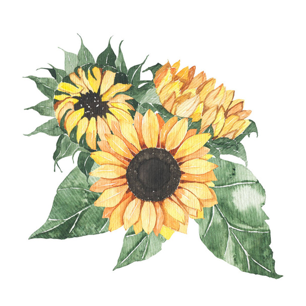 Watercolor sunflowers bouquet with green leaves isolated. Floral summer spring autumn yellow flowers arrangement blossom boho for wedding invitation save the date card illustration - 写真・画像
