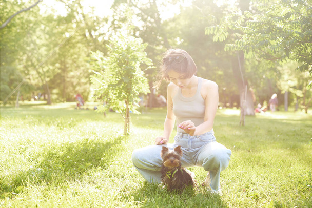 Женщина тренирует свою собаку в парке. Молодая девушка бегает и играет в зеленом парке со своим йоркширским терьером. - Фото, изображение