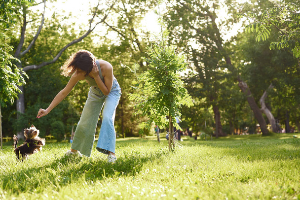 Egy fiatal lány fut és játszik egy zöld parkban a Yorkshire terrierével. Nő egy séta edzés kis kutya yorkshire terrier a napos természet háttér. - Fotó, kép