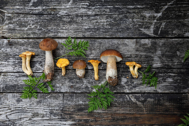 mushrooms on a wooden background - Foto, imagen