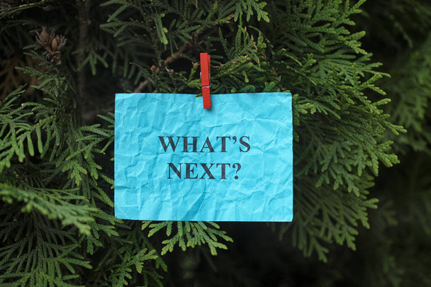 Phrase What is Next hanging on a tree. Close up. Concept image. - Valokuva, kuva