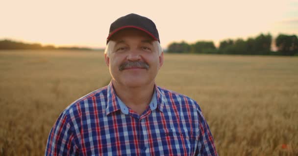 Ritratto di un anziano agricoltore sorridente con un cappello in un campo di cereali. Alla luce del tramonto, un uomo anziano con un autista di trattori dopo una giornata di lavoro sorride e guarda la telecamera. - Filmati, video