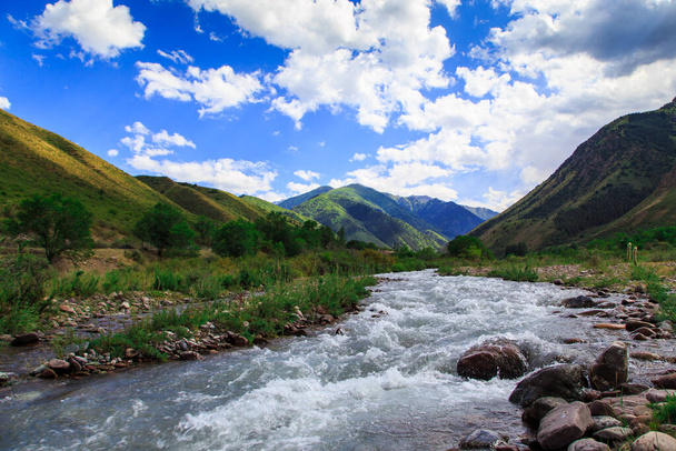 Mountain river among green mountains. Summer landscape. Kegeti Gorge, Kyrgyzstan. - Photo, image
