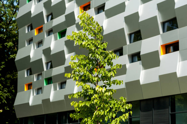 Moderne stedelijke gebouw moderne gevel decoratie - Foto, afbeelding
