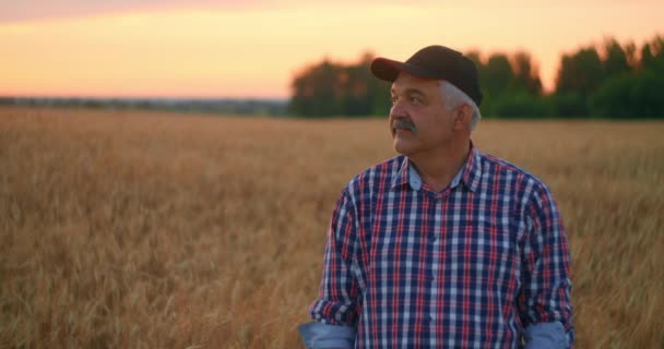 Ritratto di un agricoltore adulto anziano felice con un cappello in un campo di grano che guarda il tramonto. Campo di grano di cereali al tramonto. Rallentatore - Filmati, video