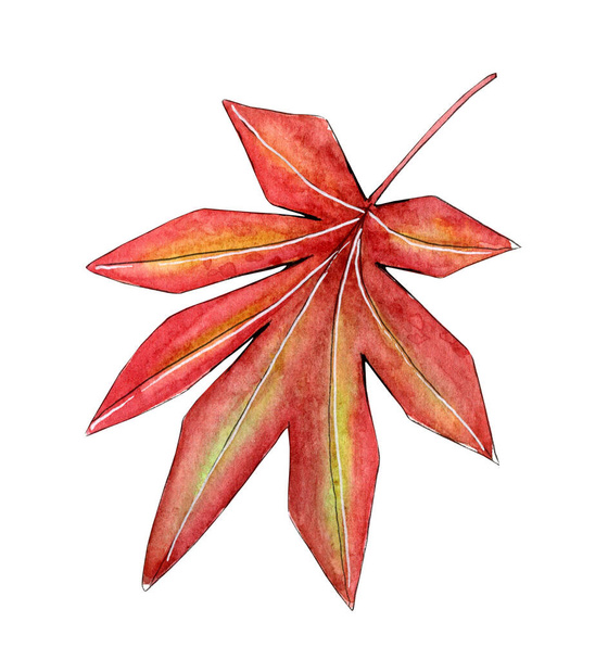 Kézzel festett akvarell ősz ősz levél - Fotó, kép