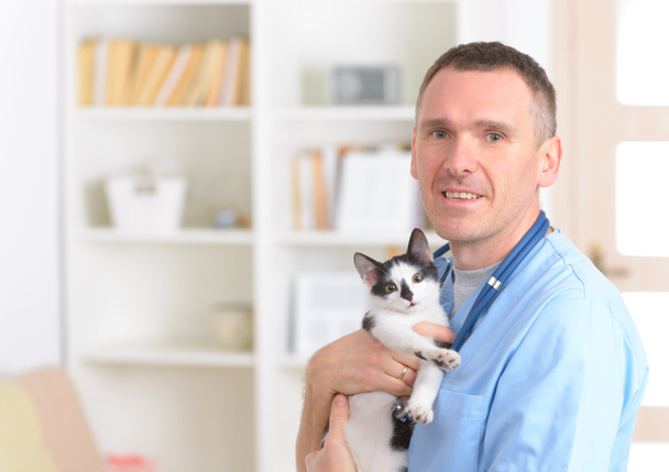 glücklicher Tierarzt mit Katze - Foto, Bild