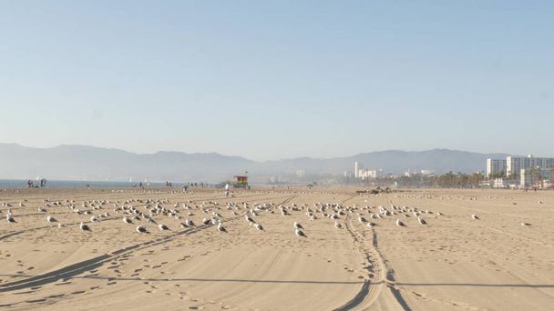 Merilokit aurinkoisella hiekkarannalla, ikoninen retro puinen sateenkaaren ylpeys hengenpelastaja vartiotorni. Venetsian ranta lähellä Santa Monican lomakohdetta. Kesällä symboli Los Angeles, CA USA. Matkustuskäsite. - Valokuva, kuva