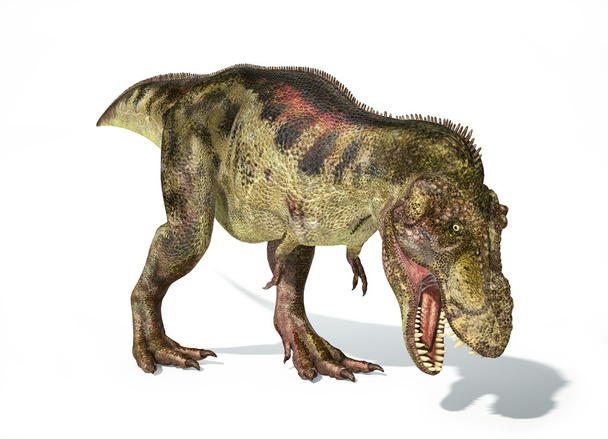 Tyrannosaure Rex dinosaure, représentation photoréaliste
. - Photo, image