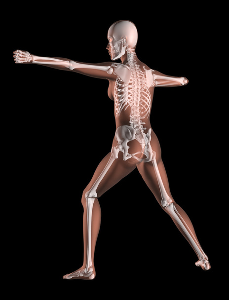 Esqueleto femenino en posición de yoga
 - Foto, imagen