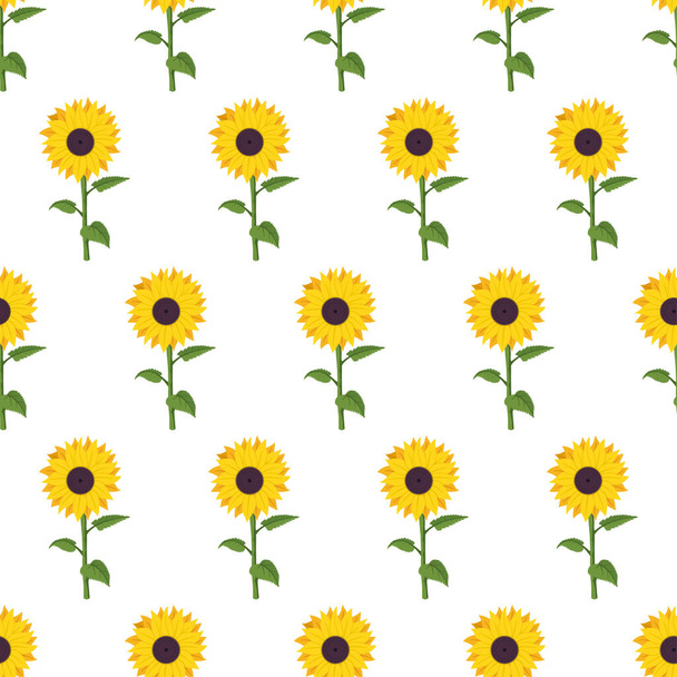Sunflower vector cartoon seamless pattern on white background. - Vettoriali, immagini