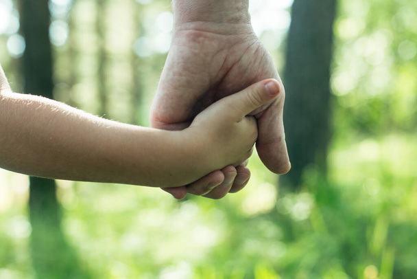 Primer plano manos un adulto sosteniendo la mano de un niño
. - Foto, Imagen