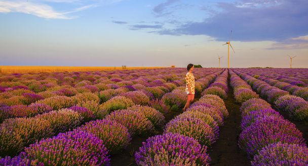 meisje lopen in een Lavendel veld tijdens zonsondergang - Foto, afbeelding