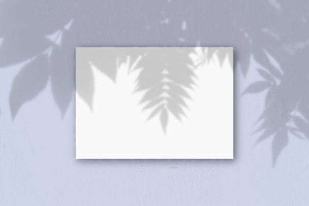 Un foglio A4 orizzontale di carta strutturata bianca sullo sfondo della parete blu. Il Mockup si sovrappone alle ombre delle piante. La luce naturale getta ombre da una pianta esotica. Posa piatta, vista dall'alto. Orizzonte - Foto, immagini