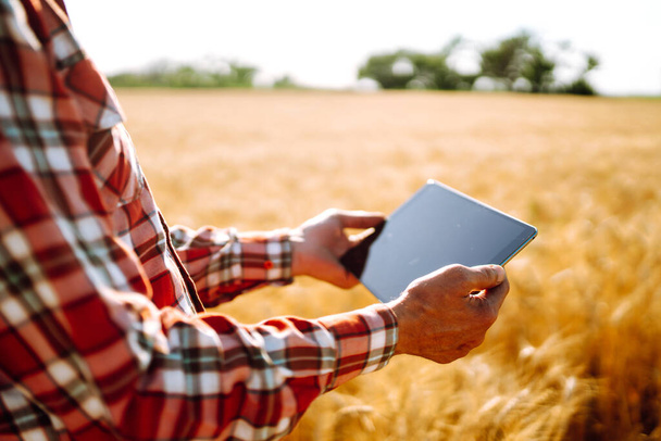 Έξυπνη φάρμα. Αγρότης με μια ταμπλέτα στα χέρια του σε ένα αγροτικό χωράφι. Συλλογή, έννοια της βιολογικής γεωργίας.  - Φωτογραφία, εικόνα
