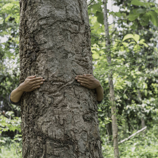 muž objímající velký strom, koncept přírodní rezervace, den Země, udržitelný životní styl - Fotografie, Obrázek