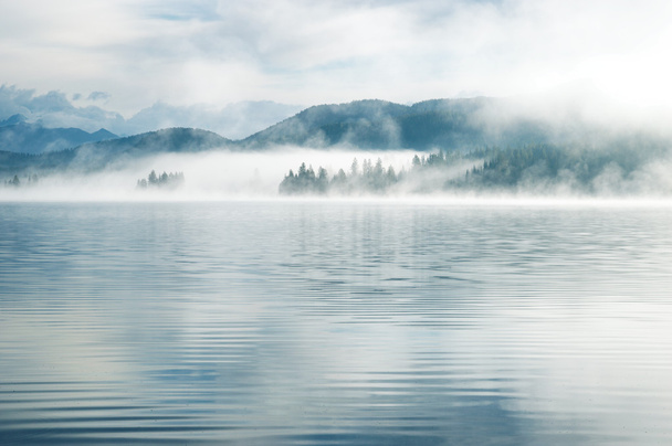 πυκνή ομίχλη νωρίς το πρωί σε μια λίμνη βουνό - Φωτογραφία, εικόνα