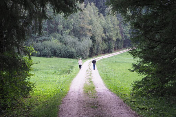dvě dospělé ženy jdou na procházku do lesa a udržují sociální odstup - Fotografie, Obrázek