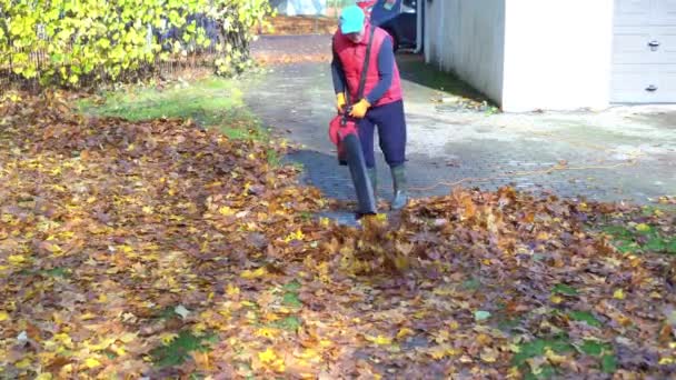 Ο άνθρωπος φυσάει φύλλα κοντά στο γκαράζ του στην πίσω αυλή του σπιτιού - Πλάνα, βίντεο