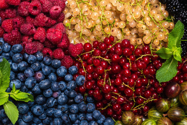 Gooseberries, blueberries, mulberry, raspberries, white and red currants background.  - Photo, Image