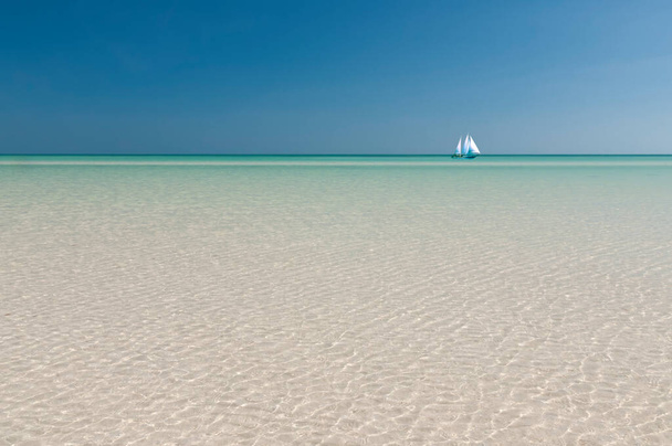 Immagine panoramica di acque limpide turchesi blu brillante con una barca a vela al centro in una giornata di sole brillante. Isola di Holbox, Messico - Foto, immagini