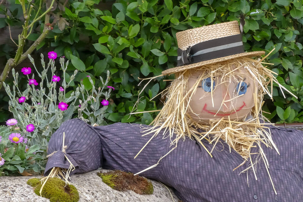 Boldog szalma hajú rusztikus madárijesztő boater, pihenő kar tetején egy moha borított fal. Természetesen növekvő virágok és lombozat háttér. Tájkép szöveges szöveggel. Anglia. - Fotó, kép