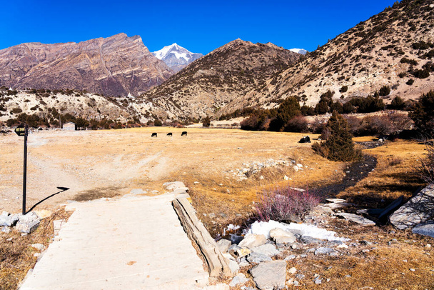 Panoramablick auf eine beliebte Touristenroute in Nepal - den Annapurna Circuit Trail. Weg zum Basislager und Thorong La oder Thorung La Pass. - Foto, Bild