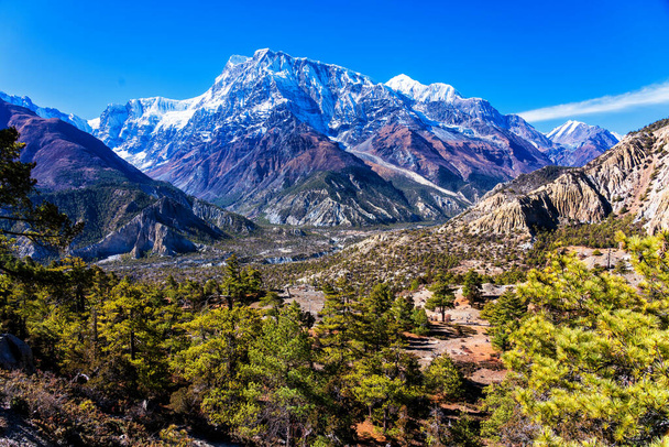 Мбаппе открывается потрясающий вид на популярный туристический маршрут в Непале - Аннапуа. Путь к базовому лагерю и перевалу Торонг Ла или Торунг Ла. - Фото, изображение