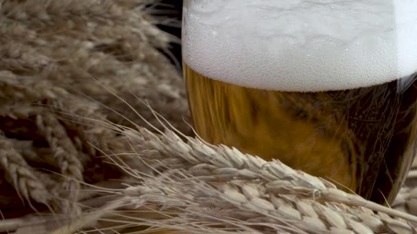 Cerveza con espuma y trigo - Imágenes, Vídeo