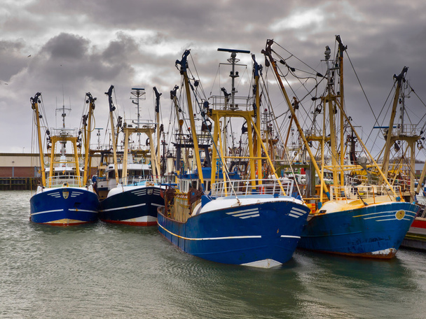 flotte de pêche moderne
 - Photo, image