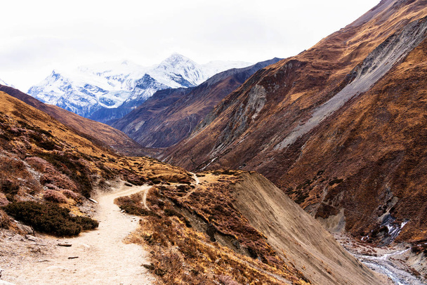 Panorámás kilátás nyílik egy népszerű turistacélpont útvonal Nepál - Annapurna Circuit Trail. Útban az alaptábor és Thorong La vagy Thorung La pass felé. - Fotó, kép