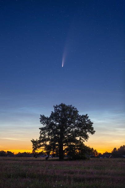 Cometa C / 2020 F3 (NEOWISE) sobre bela paisagem ao entardecer
 - Foto, Imagem