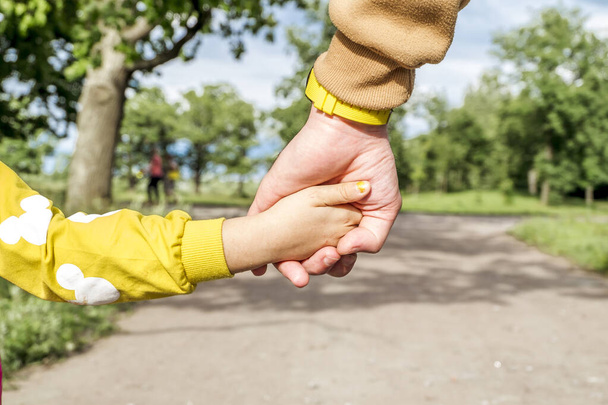 A man's hand holds the hand of a little girl against the background of a forest landscape - Foto, Imagem