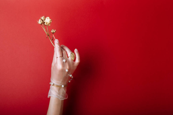 Fashion art hand woman in the glove with Jewelry in summer time and flowers behind her hand with bright contrasting makeup. Creative beauty photo hand skincare - Photo, Image