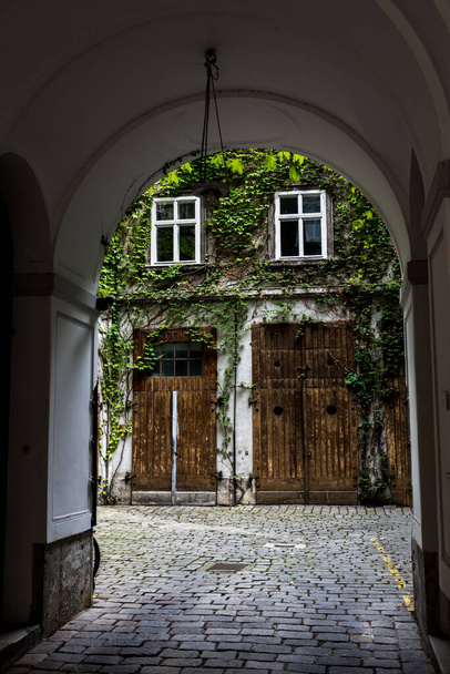 Cortile di un edificio storico con porte in legno e pareti ricoperte di edera - Foto, immagini
