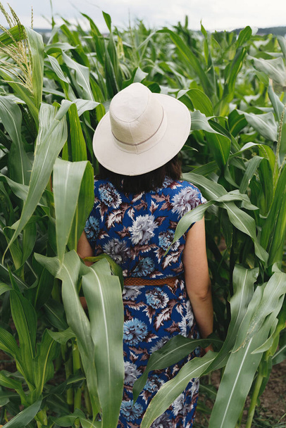Стильная молодая женщина в синем винтажном платье и шляпе ходит по зеленому кукурузному полю. Счастливая красивая девушка в кукурузном лабиринте, спокойный спокойный момент в летней сельской местности. Вид сзади - Фото, изображение