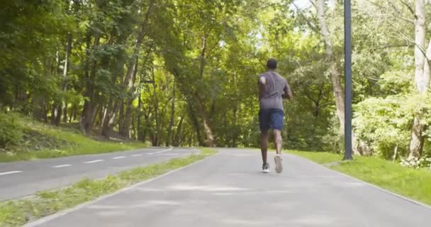 Corredor negro activo trotando en un camino de entrenamiento especial en el parque público
 - Metraje, vídeo