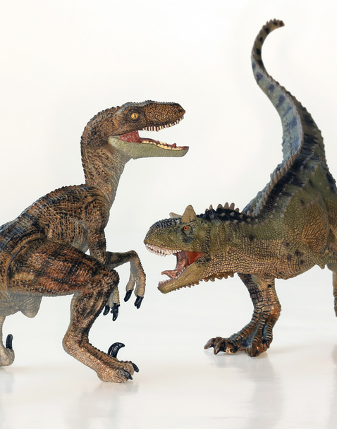 Uma batalha entre um Carnotauro e um Velociraptor
 - Foto, Imagem