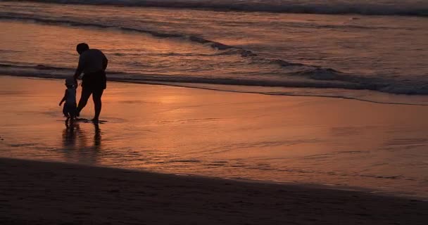 Moeder en zoon wandelen langs de kust op een prachtige zonsondergang - Video