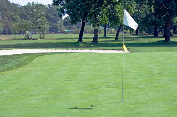 Bandiera da golf sventola
 - Foto, immagini