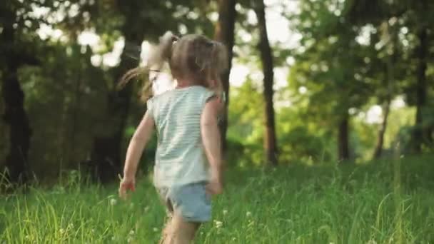 Little girl runs in the woods and plays. Happy smiling child hides behind the green trees in the park at sunset. Summer, entertainment, family, childhood, walking, vacation, lifestyle concepts. - Materiaali, video