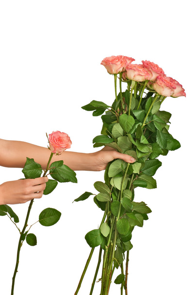 Big bouquet of roses - Фото, изображение