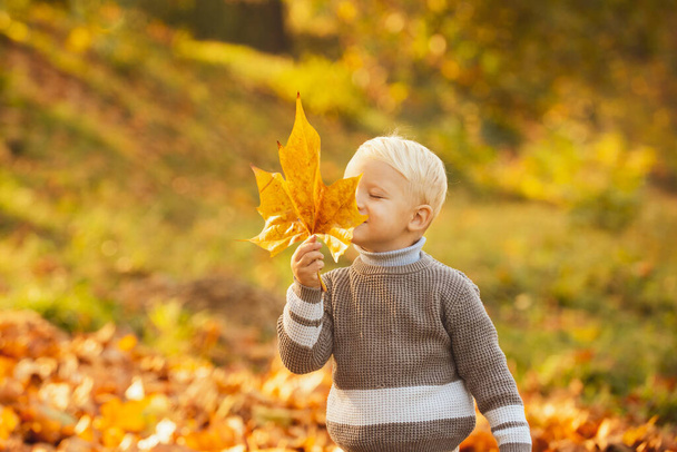 Boy child with yellow leaf in autumn park, yellow leaves. - Zdjęcie, obraz