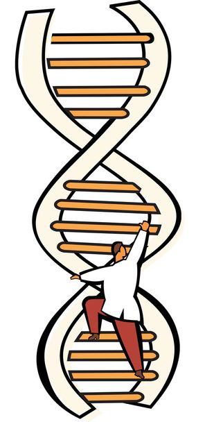 scala del DNA - Foto, immagini