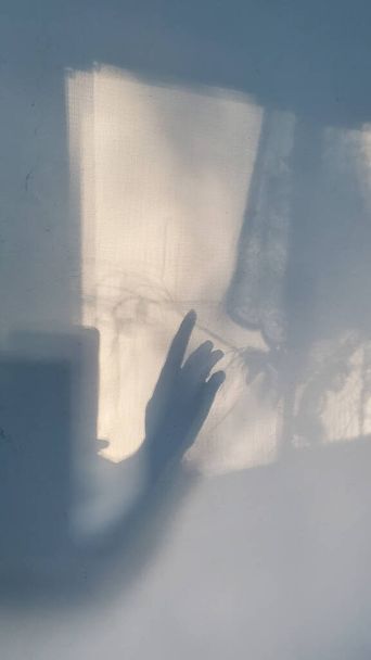 Αγγίζοντας γυναικεία σιλουέτα χεριών με μακριά λεπτά δάχτυλα αγγίζετε defocus σκιές στην παλιά επιφάνεια του τοίχου. Περίεργη σκιώδη σύνθεση με παλάμη χεριού - Φωτογραφία, εικόνα