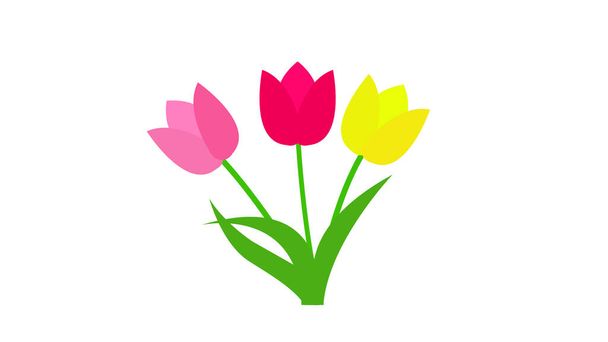 Piękny bukiet tulipany izolowane na białym tle - Zdjęcie, obraz