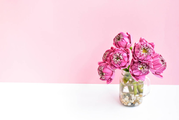 Концепция мира и посредничества, стеклянная ваза из розового лотоса, багсом, весна, детская память, украшение, пространство для копирования, белый и розовый задний план, багсом, весна, лотос Будды, багсом розовый лотос - Фото, изображение
