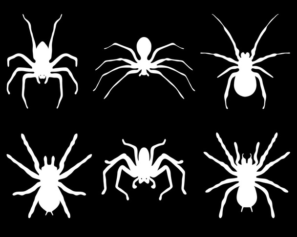 Arañas
 - Vector, imagen